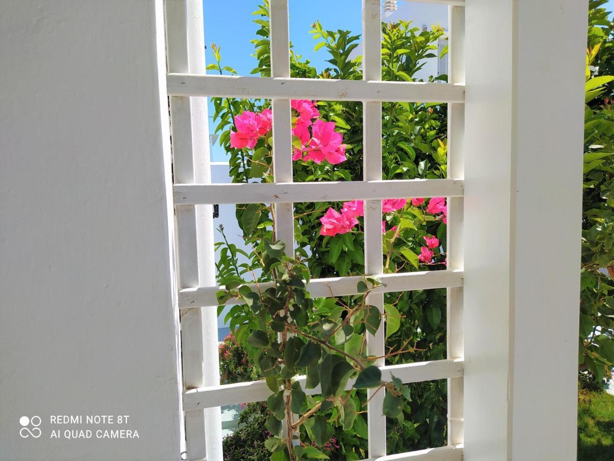 Geoni'S Villa & Garden Spa Аполлония Экстерьер фото